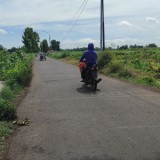 Dana Cukai Tembakau Rp13,5 Miliar Diolah untuk Tingkatkan Infrastruktur Jalan di Situbondo