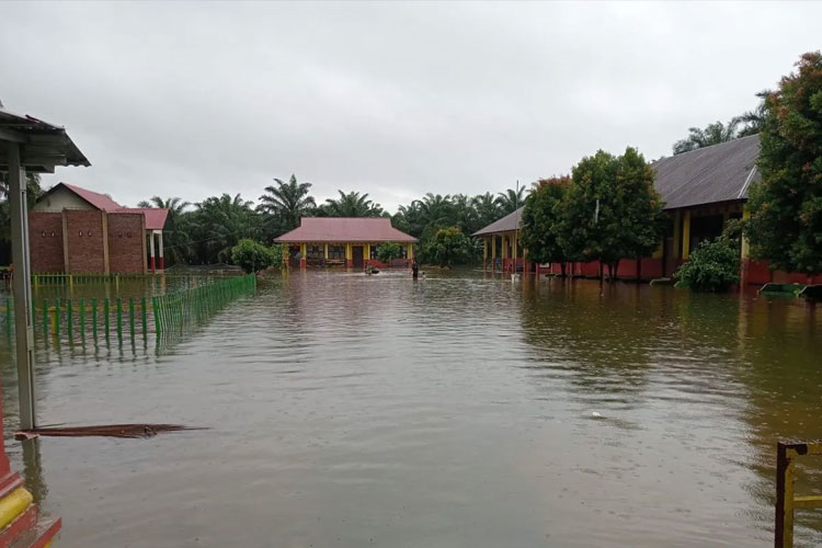 23 Sekolah di Pasaman Barat Terendam Banjir, Kursi dan Meja Kelas Tergenang Air