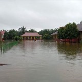 23 Sekolah Dasar hingga Menengah di Pasaman Barat Terdampak Banjir