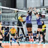 Kejurnas Voli Antarklub U-19, Putri Petrokimia Raih Kemenangan, Putra Indomaret Singkirkan Yuso