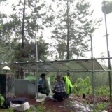 Badan Geologi ESDM Siapkan Modernisasi Pemantauan Gunung Raung