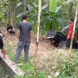 Diduga Sopir Mengantuk, Mobil Pick Up Terjun ke Jurang Sedalam 15 Meter di Jalan Baregbeg Ciamis