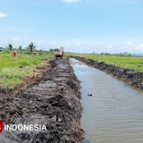 Jember Menuju Puncak Ketahanan Pangan, Mengupas Tuntas Program Optimalisasi Lahan (OPLAH) 2025