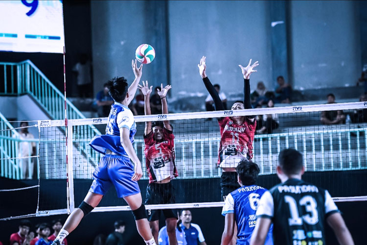 Kejurnas Voli Antarklub U-19 2025, Tundukkan Indomaret Porvit ke Final Putra, Petrokimia Gagal