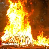 Polresta Malang Kota Bongkar dan Musnahkan Arena Judi Sabung Ayam di Wonokoyo