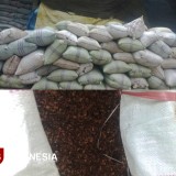 Warga di Bondowoso Sulap Limbah Kulit Kopi Jadi Pakan Sapi, Diminati Luar Daerah