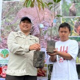 Stadion Dadaha Jadi Pusat Edukasi Konservasi, BBKSDA Jabar Gaungkan 'Nongki Sawarga Tasikmalaya'