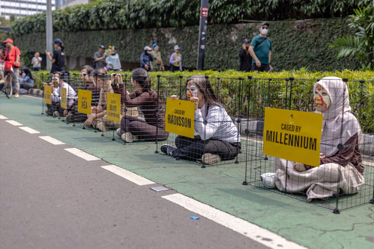 Aktivis Soroti Komitmen Perusahaan untuk Penerapan Telur Bebas Sangkar