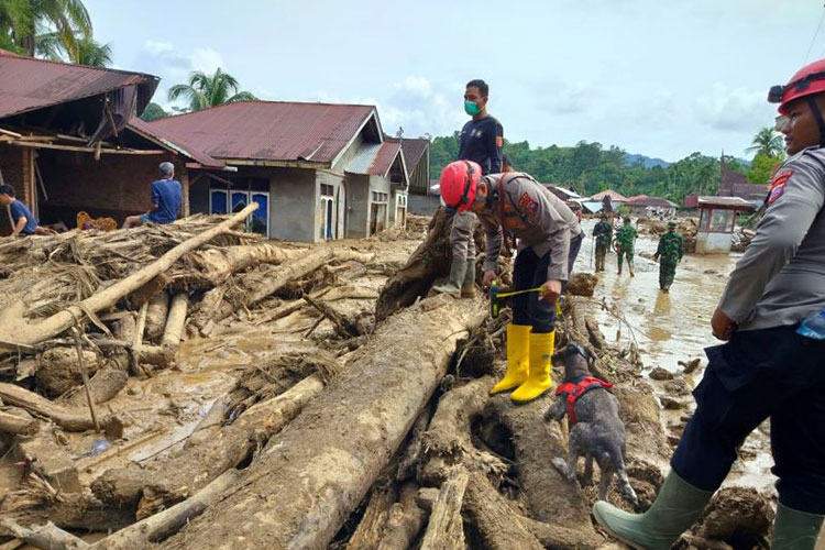 Banjir dan Longsor di Sumatra: 442 Orang Meninggal, 402 Masih Hilang