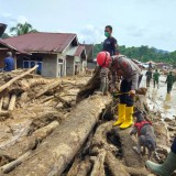 Update Korban Banjir Sumatra: BNPB: 442 Orang Meninggal, 402 Masih Hilang