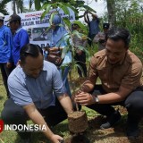 Jaga Alam Rawat Masa Depan, Ketua DPRD Pacitan ASB Ajak Perkuat Penghijauan dan Tanaman Produktif
