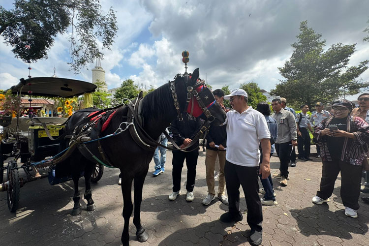 Meriahnya Kontes Andong Jogja 2025: 30 Kuda Berlaga Demi Tradisi, Pariwisata dan Budaya