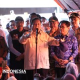 Prabowo Siapkan Papua Jadi Pusat Swasembada Energi Nasional, Fokus Energi Terbarukan dan Kemandirian Daerah