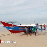 Pasar Ikan Kedonganan, Surga Seafood yang Hidup dari Fajar hingga Siang Hari