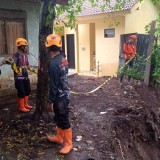 Hujan Deras Sebabkan Tanah Longsor di Bondowoso