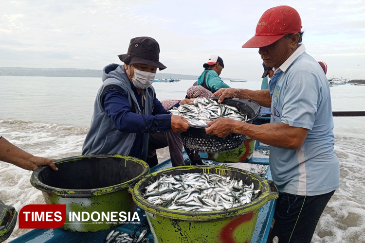 ikan-hasil-tangkapan-nelayan.jpg