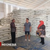 Prediksi Surplus 35 Ribu Ton, Dispertan Banyuwangi Pastikan Stok Beras Aman Jelang Nataru