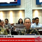 OJK Desak Insentif Pajak Baru untuk Dongkrak Free Float dan Pasar Modal RI