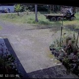 Aksi Pencurian Siang Bolong Resahkan Warga Banyuwangi