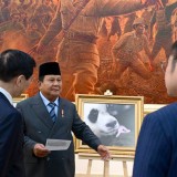 Diplomasi Panda, Prabowo Cerita Kelahiran Rio ke Ketua MPR China
