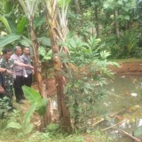 Dua Bocah Kembar Asal Ciamis Ditemukan Tewas Tenggelam di Kolam Ikan