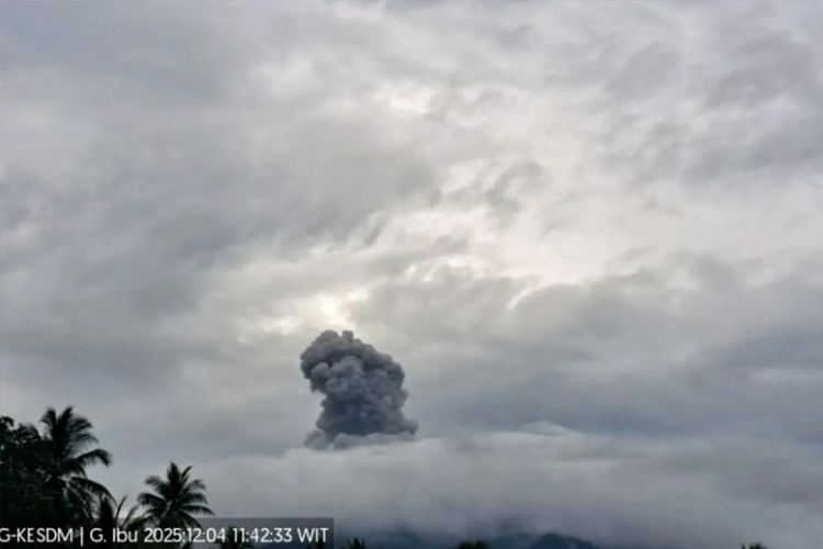 Gunung Ibu Erupsi, Semburkan Abu Vulkanik Setinggi 600 Meter