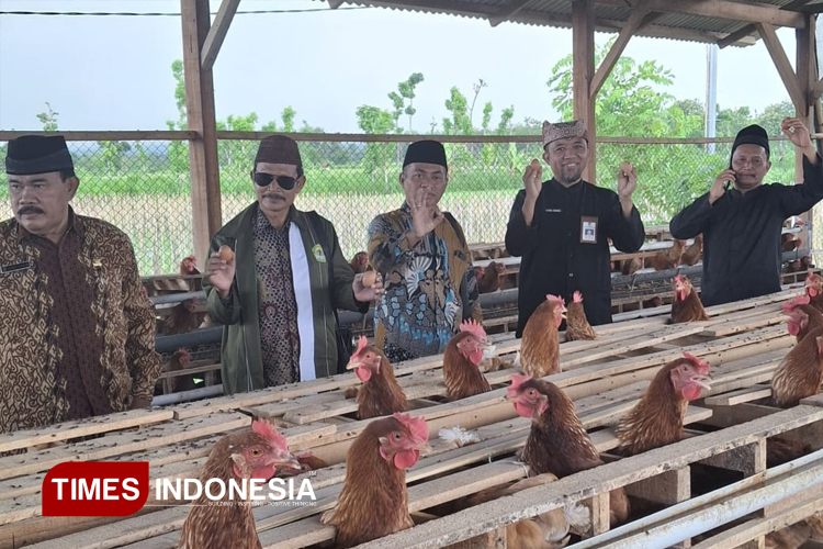 Produksi Capai 1,8 Ribu Ton, Stok Telur di Banyuwangi Dijamin Aman Saat Nataru