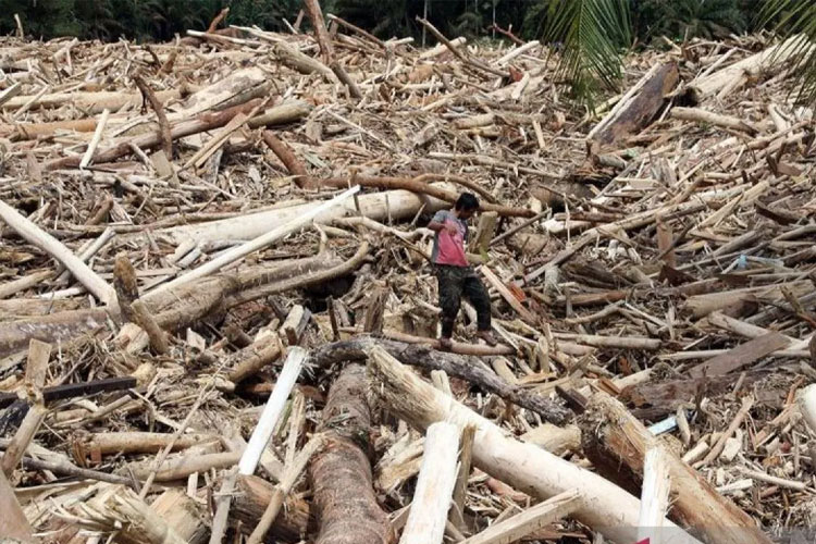 Kemenhut dan Polri Bentuk Tim Investigasi Asal Kayu Terseret Banjir di Sumatera