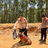 Kisah Anjing Pelacak 