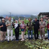 Tingkatkan Produktivitas Kopi Flores, Mahasiswa Polbangtan Malang Dampingi Petani