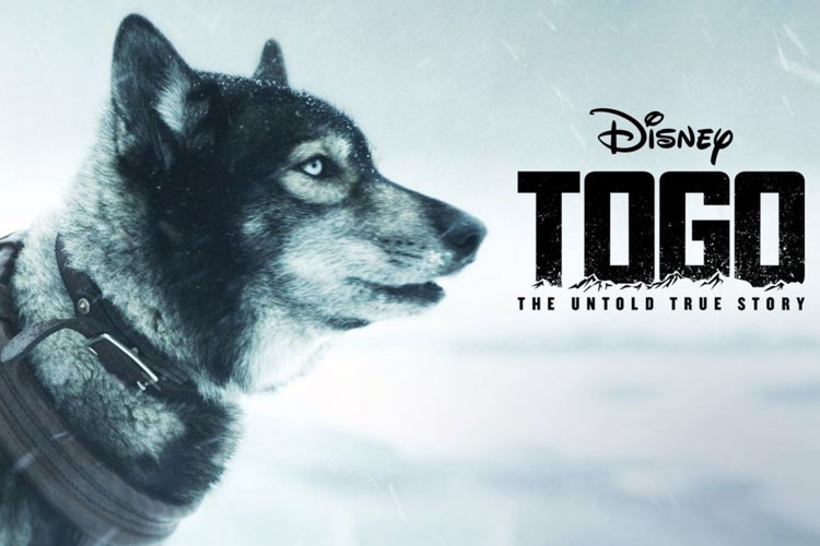 Film Tentang Anjing Heroik, Seperti Reno Unit K-9 Polda Riau yang Gugur