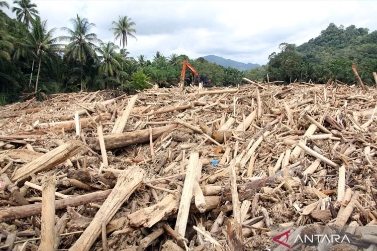 Guru Besar IPB: Banjir Sumatera Disebabkan Aktivitas Manusia