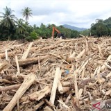 Guru Besar IPB: Banjir Sumatera Disebabkan Aktivitas Manusia