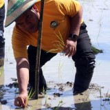 Blora Gaspol Pertanian Organik, Bupati Arief Rohman: Semua Petani Organik Wajib Terdata