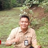Flora dan Fauna Gunung Tidar, Ekosistem Hutan Kota di Jantung Magelang