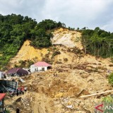 Kemenhut Segel 4 Konsesi Diduga Penyebab Banjir-Longsor di Sumatera, 8 Lagi Akan Disusul
