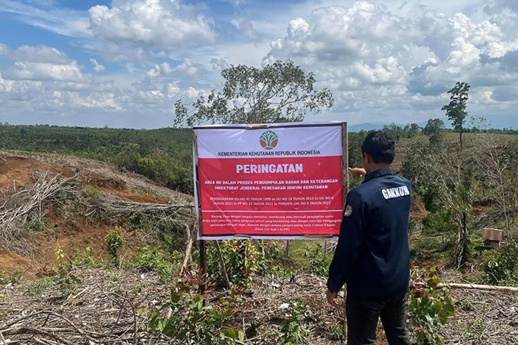 Kemenhut Dalami Peran 12 Subjek Hukum dalam Kerusakan Hulu DAS Penyebab Banjir Sumatera