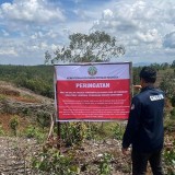 Kemenhut Dalami Peran 12 Subjek Hukum dalam Kerusakan Hulu DAS Penyebab Banjir Sumatera