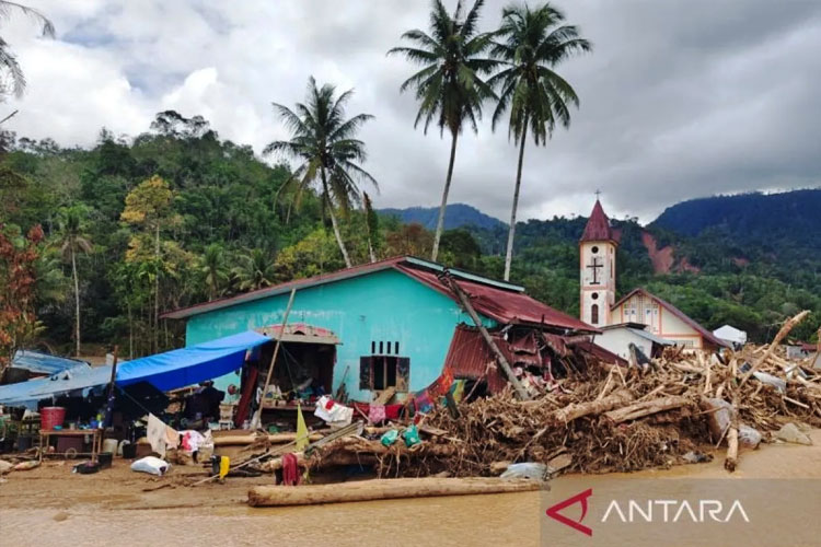 Tanaman Siap Panen Jadi Busuk, Petani Tapanuli Tengah Terpukul Dua Kali: Rumah Hancur, Kebun Punah