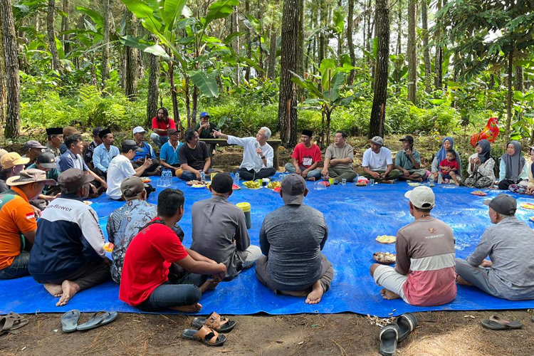 KTH Green Bayu Mandiri Banyuwangi Bangun Sentra Pisang Cavendish dengan Konsep Agroforestri