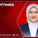 Politik Visual dan Cara Publik Membaca