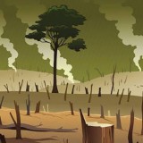 Jatim Tetap Perlu Pengawasan dan Rehabilitasi Kawasan Hutan