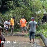 Gempa Bumi hingga Pohon Tumbang Terjadi di Bondowoso
