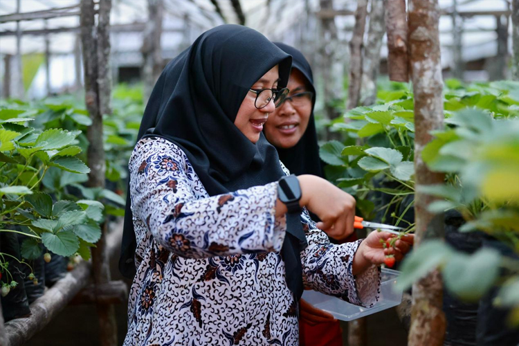 Bangkitkan Potensi Lereng Ijen, Warga Didorong Jadi Aktor Utama Wisata Golden Route