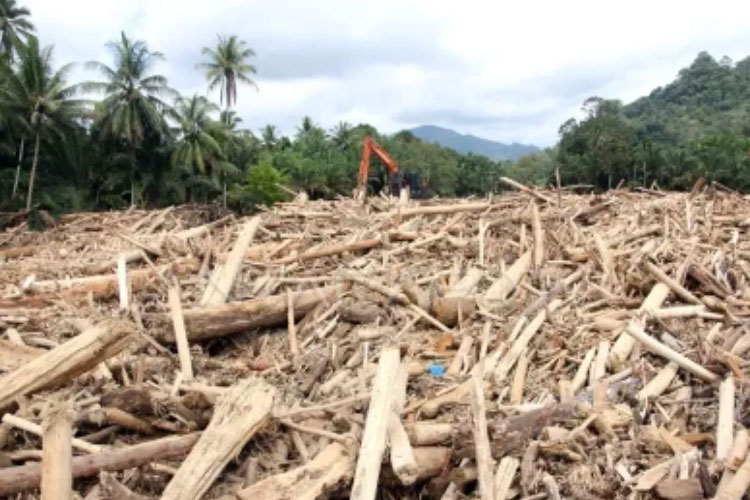 Bareskrim Naikkan Status Kasus Pembalakan Liar di Sungai Garoga ke Tahap Penyidikan