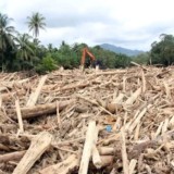 Dua Ekskavator & Buldoser Diamankan, Polri Selidiki Pihak di Balik Penebangan Liar di Sumut