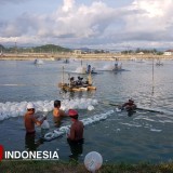 Ekspor Udang Banyuwangi ke Amerika Mandek 90 Persen Akibat Isu Radioaktif