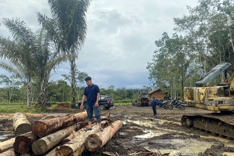 Kemenhut Tindak 11 Entitas Usaha di Tapanuli Selatan Diduga Picu Banjir dan Longsor