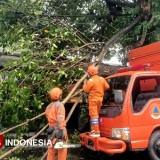 Hujan Lebat dan Angin Kencang Mengintai, Pemkot Yogyakarta Siaga Darurat Bencana