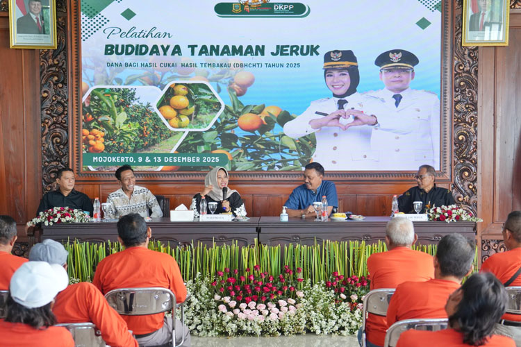 Pemkot Mojokerto Perkuat Petani Jeruk untuk Memaksimalkan Potensi Taman Bahari Majapahit